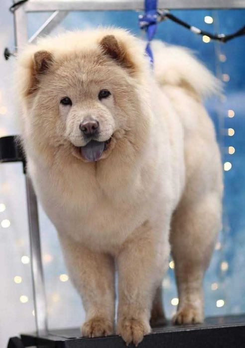 Родени на 17.10 обезпаразитени !!!