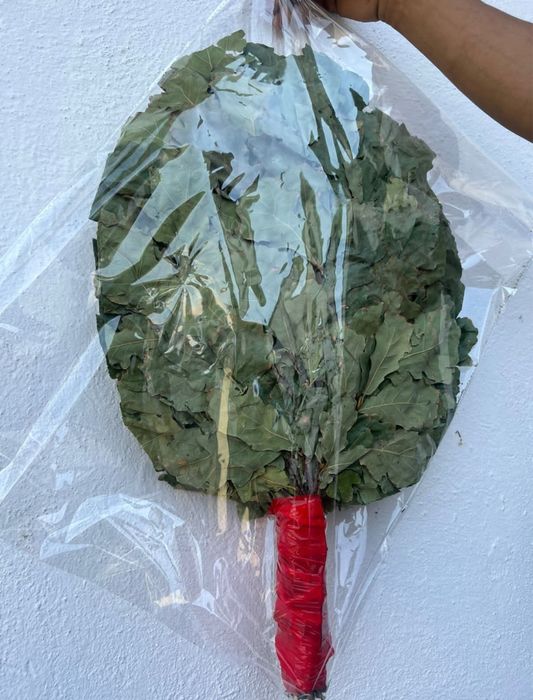 Веник для баня и сауна