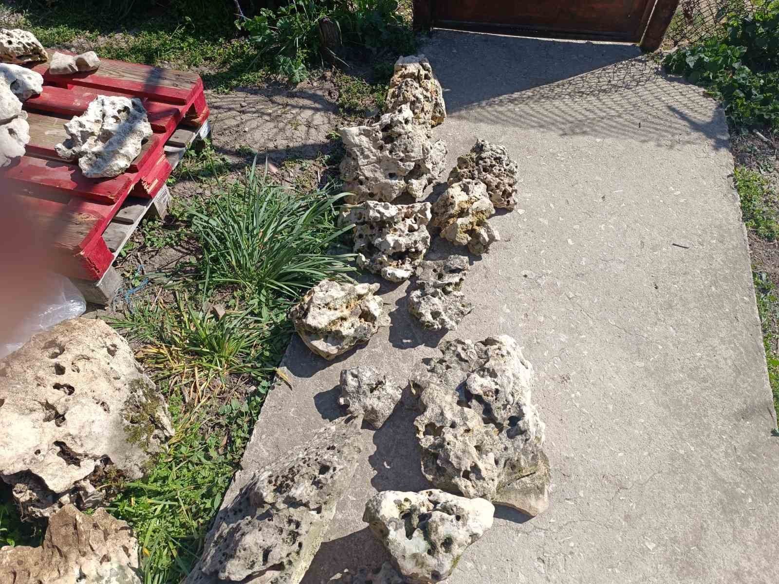 Естествени камъни за аквариуми и езеро