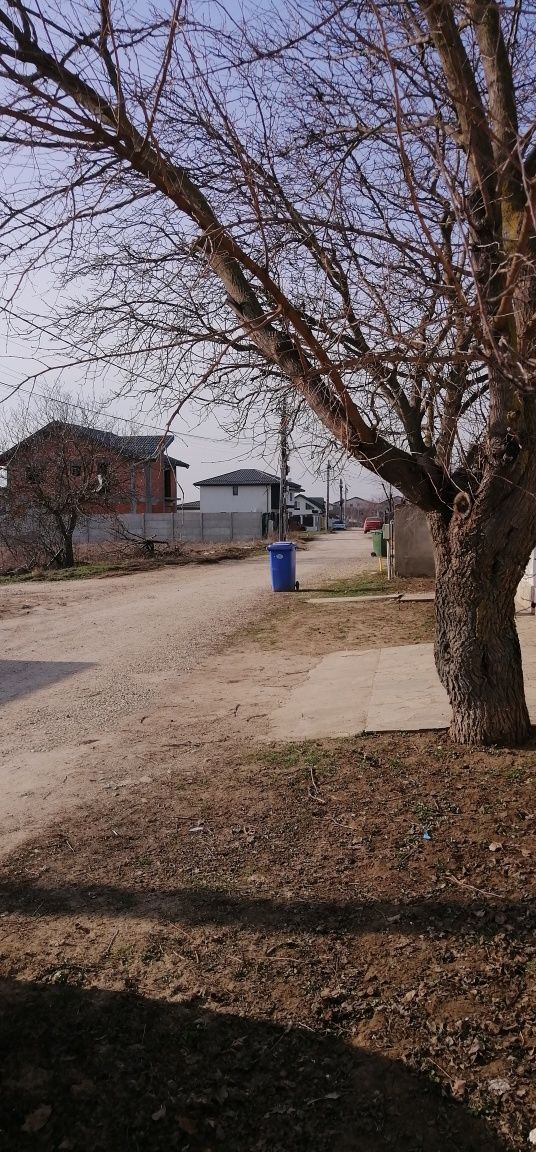 Teren la 400m de Bulevardul Principal. Gaz și Curent. Comuna Berceni