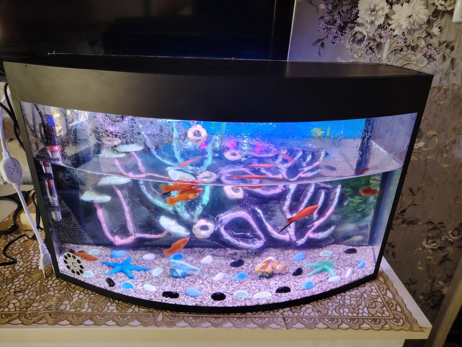 Avalniy akvarium komplekt