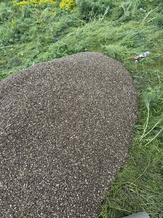 Foraje puțuri mecanizate Curtea de Argeș