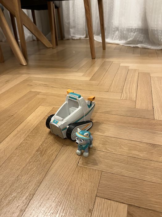 Madina Everest Paw Patrol