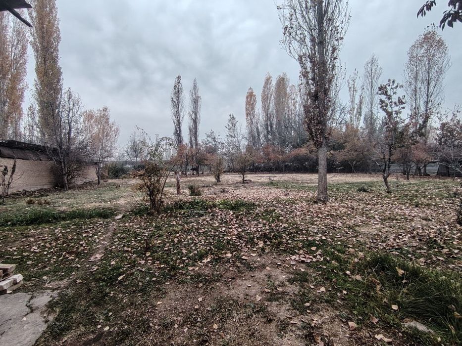 12 sotix yer sotiladi Yuqori Chirchiq Kavardonda