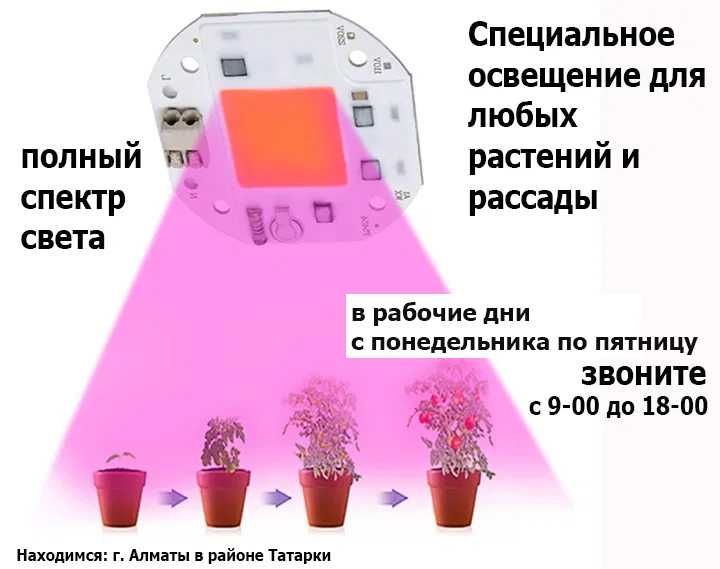 led свето-диоды с драйвером на 220v обычные и фито для растений рассад