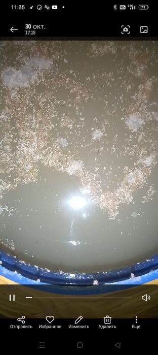 Концентрат бактерии эм эко