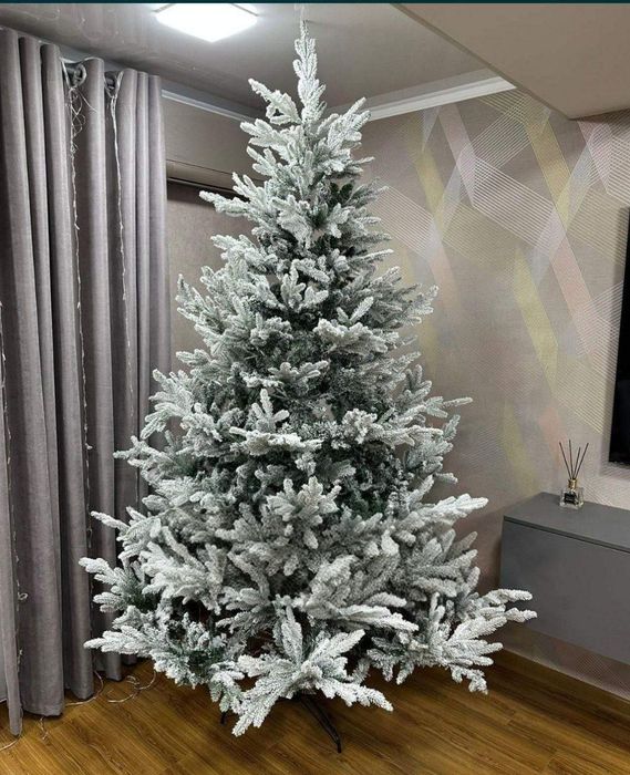 Ёлка северная 1 , заснеженная.