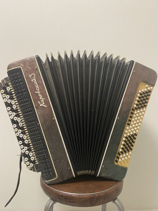 Баян Кировский 3