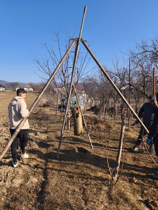 Foraje Puturi Si Denisipari