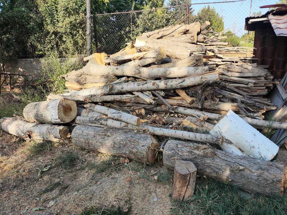 Утин бор, есть древесина