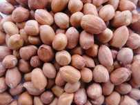 alune de padure naturale