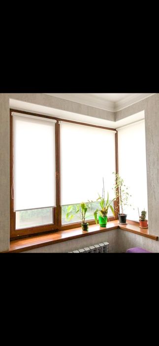 Жалюзидың барлық түрлері