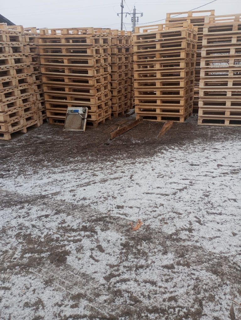 Vând paleti euro și NON euro