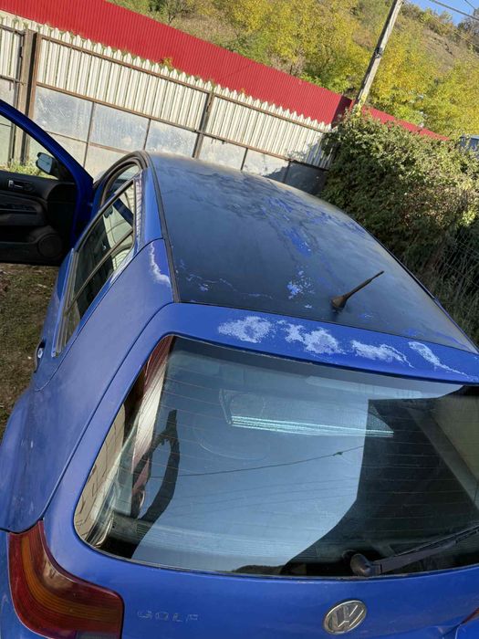 Vand sau schimb cu oi , vitei, animale