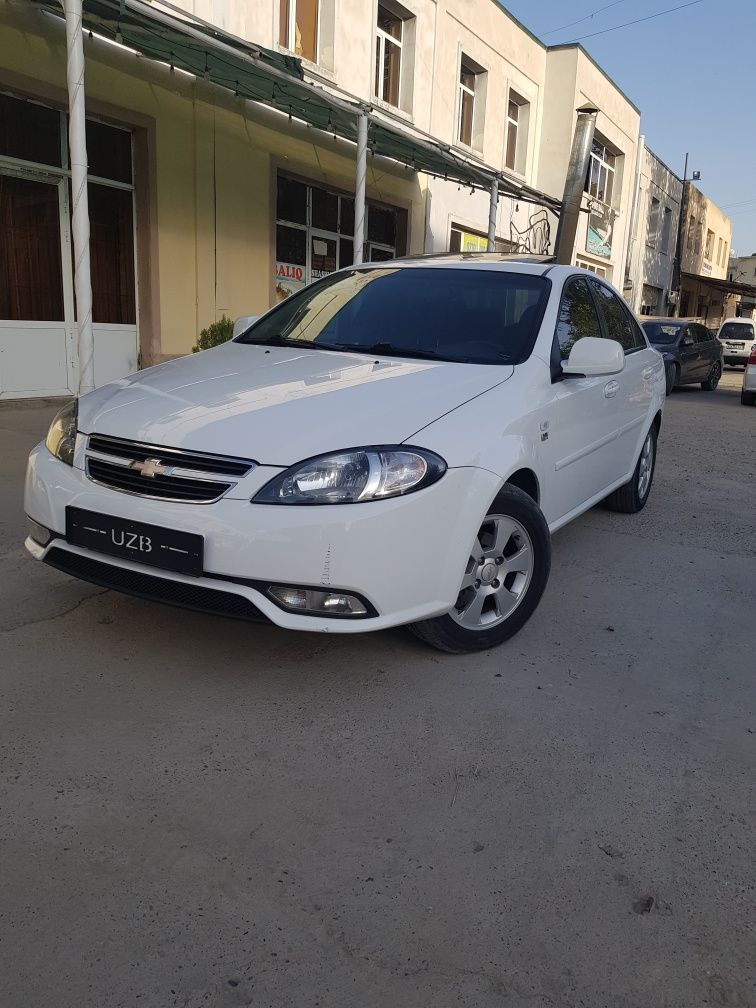 Chempion Gentra full Elegant Plus