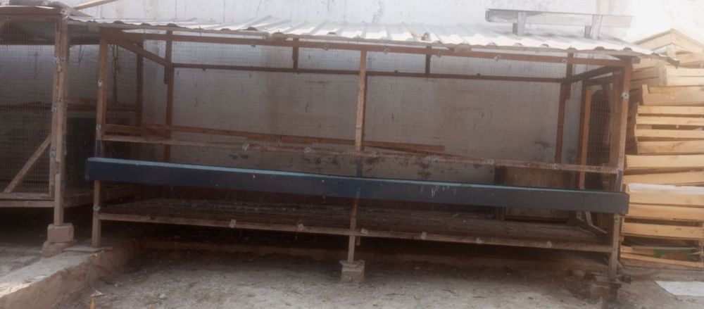 Товук катак сотилади срочний сураганга нархи келишилади.