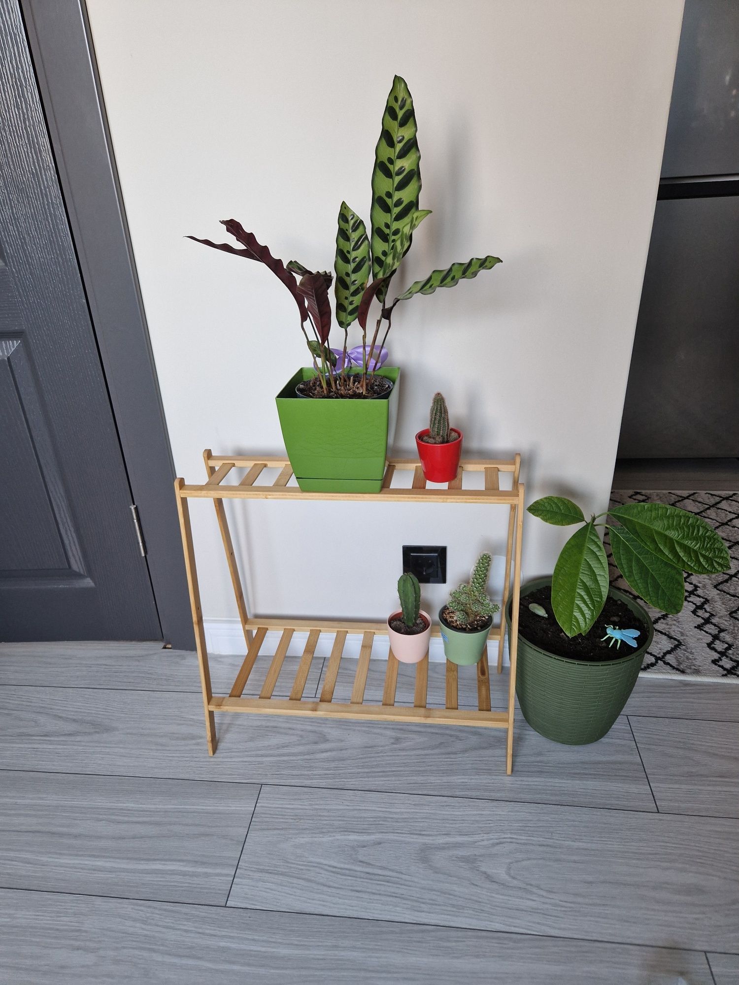 Vând suport plante flori