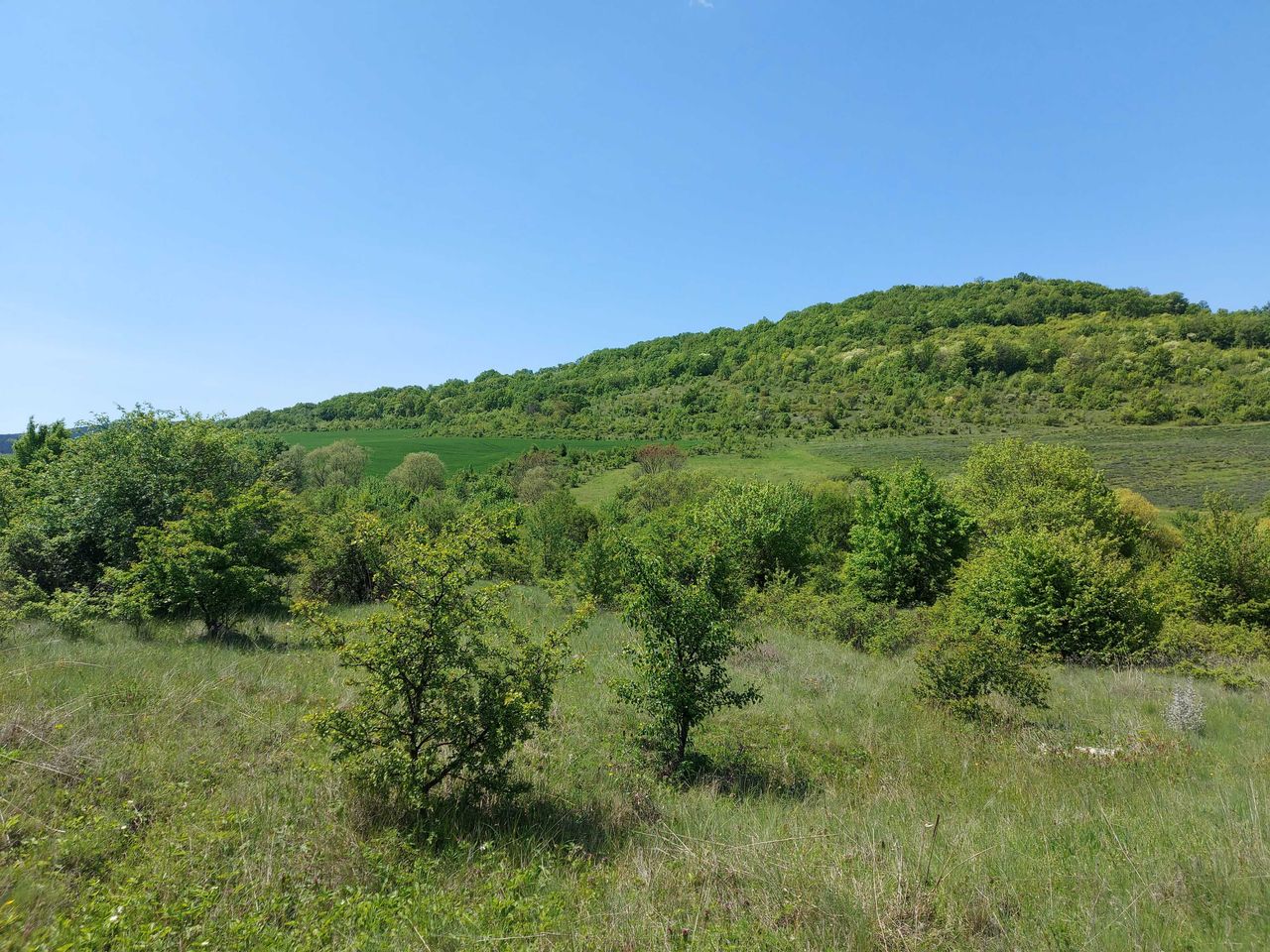 Продава се Парцел в с. Малка Верея, Област Стара Загора - 8537 кв.м за 8 €/кв.м - Снимка #12