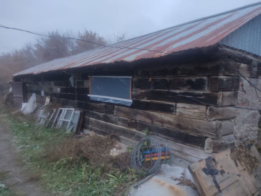 Продам дом с птицефермой