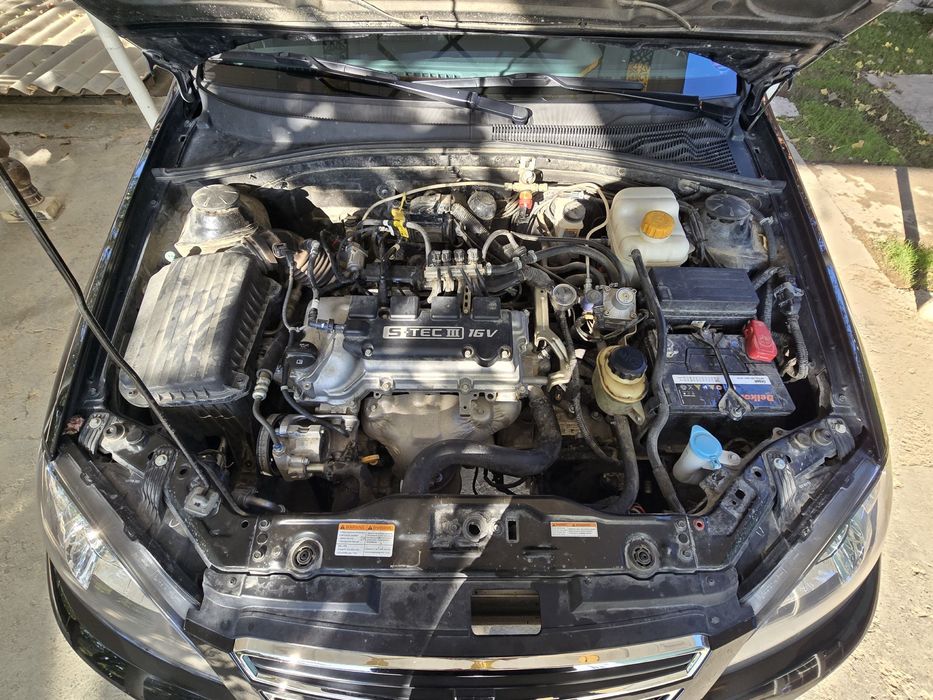 Qora jentra sotiladi 2023-yil