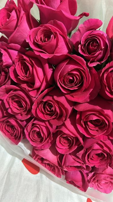 Продам цветы, 25 штук