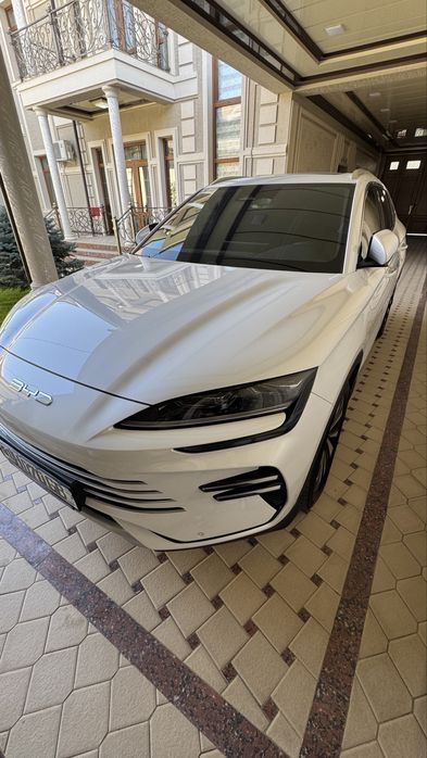 BYD Chempion Gibrid Full  2025
