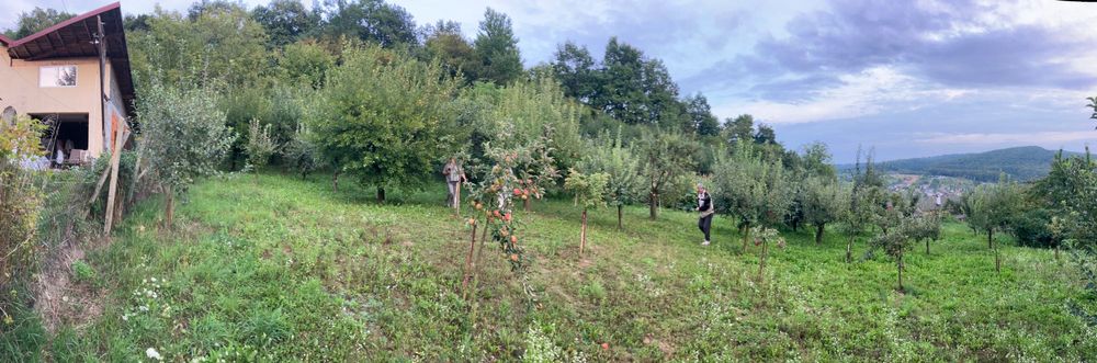 Vând teren intravilan BISTRITA, zona Valea Ghinzii