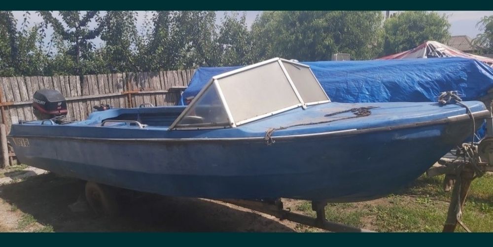 Vand barca Delfin 5.6 m