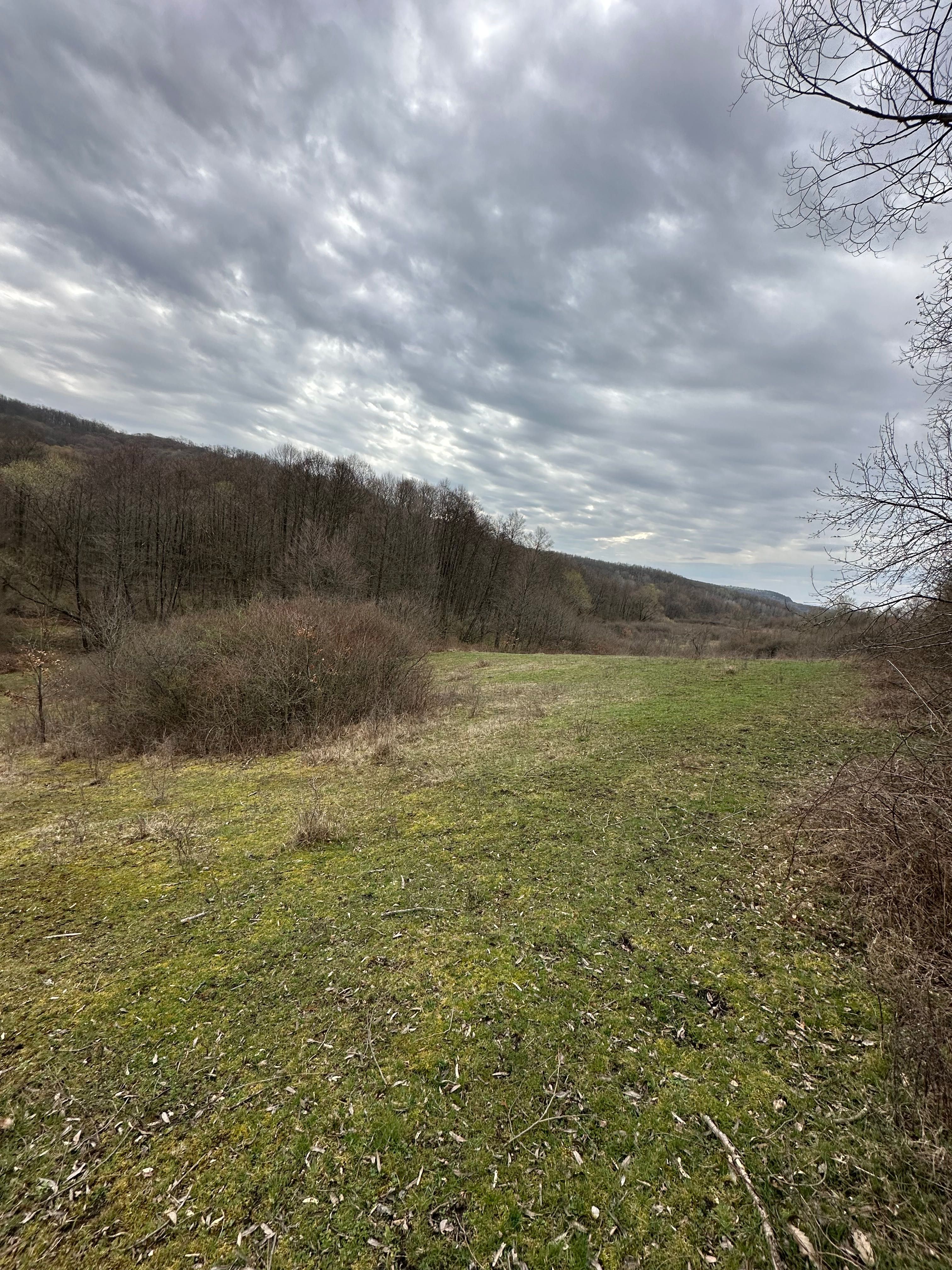 Vând teren extravilan în localitatea Dragesti, Bihor. 2000mp