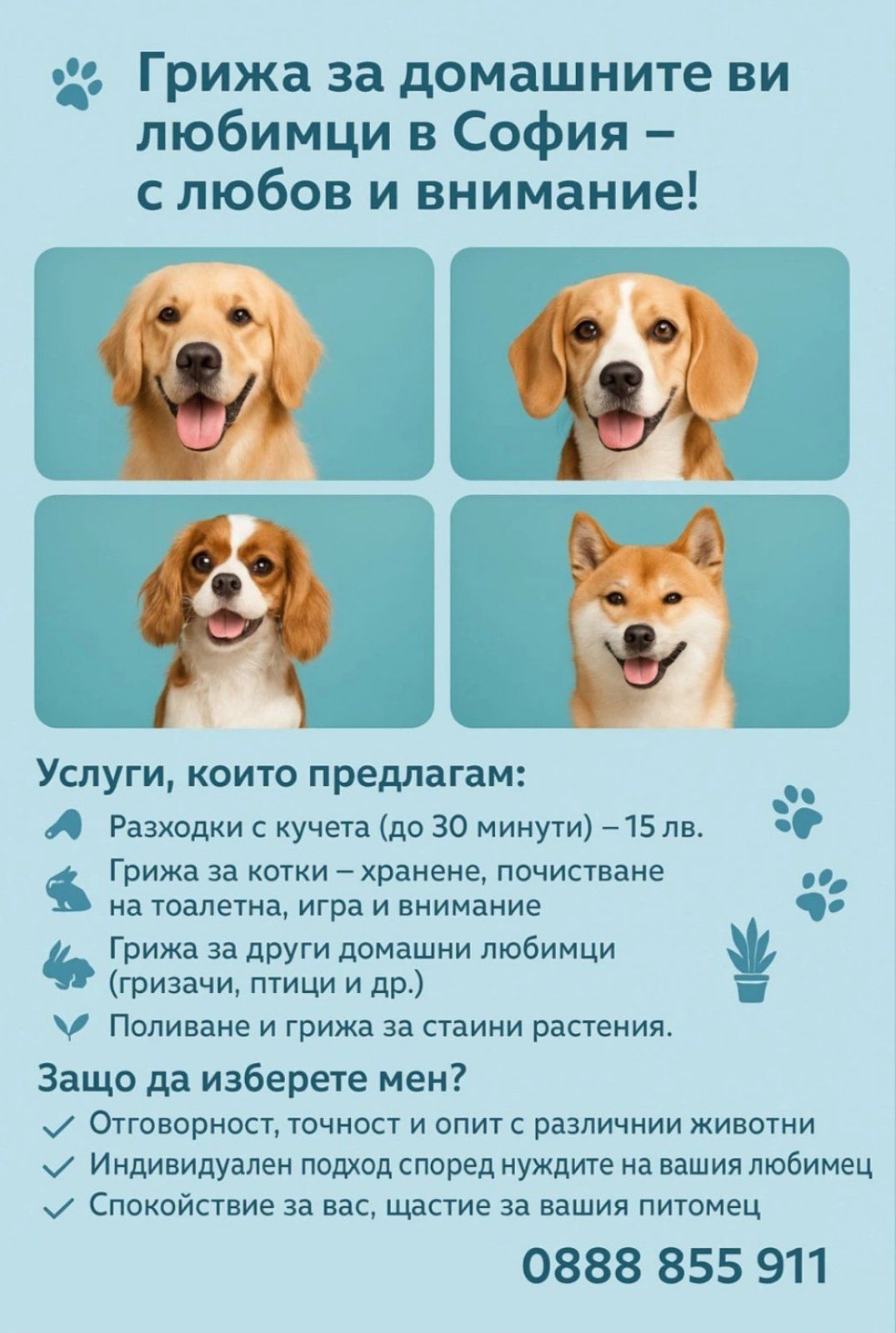 Разхождане на кучета
