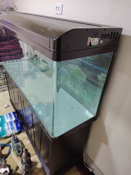 akvarium avalniy xitoy akvarium