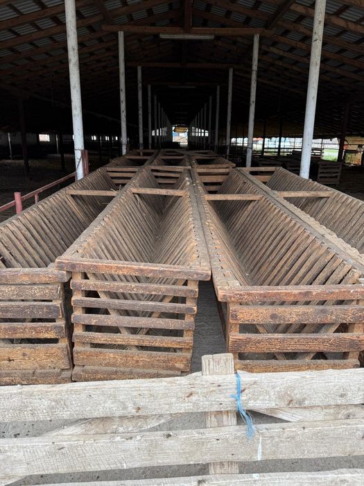 Hrănitoare pentru oi