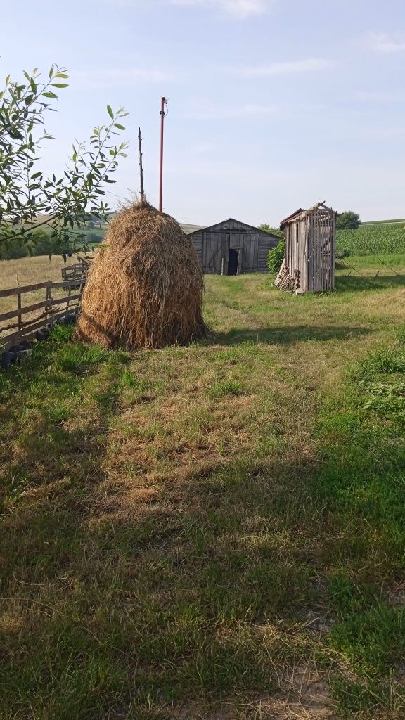 Ferma cu iazuri in Suceava 16 hectare