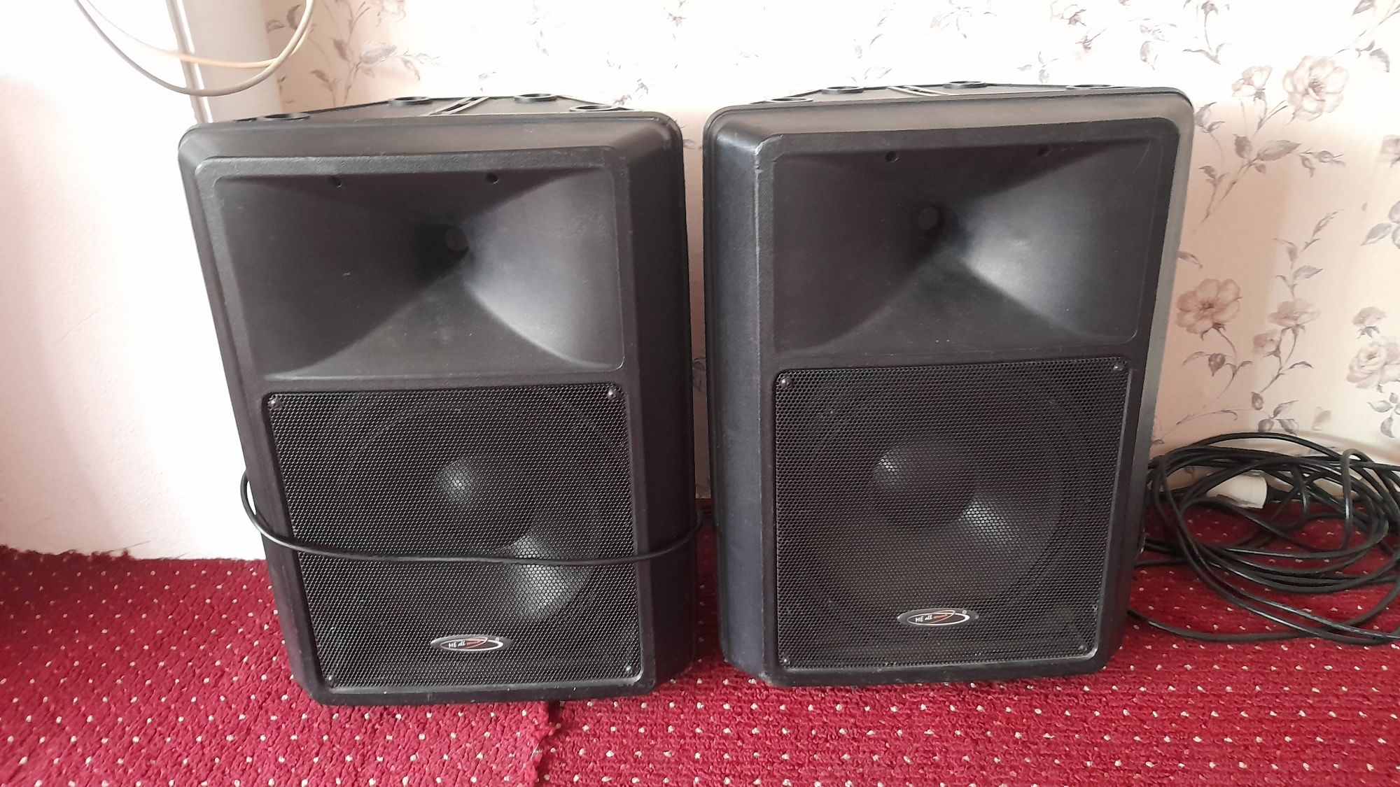 Boxe Active 300w