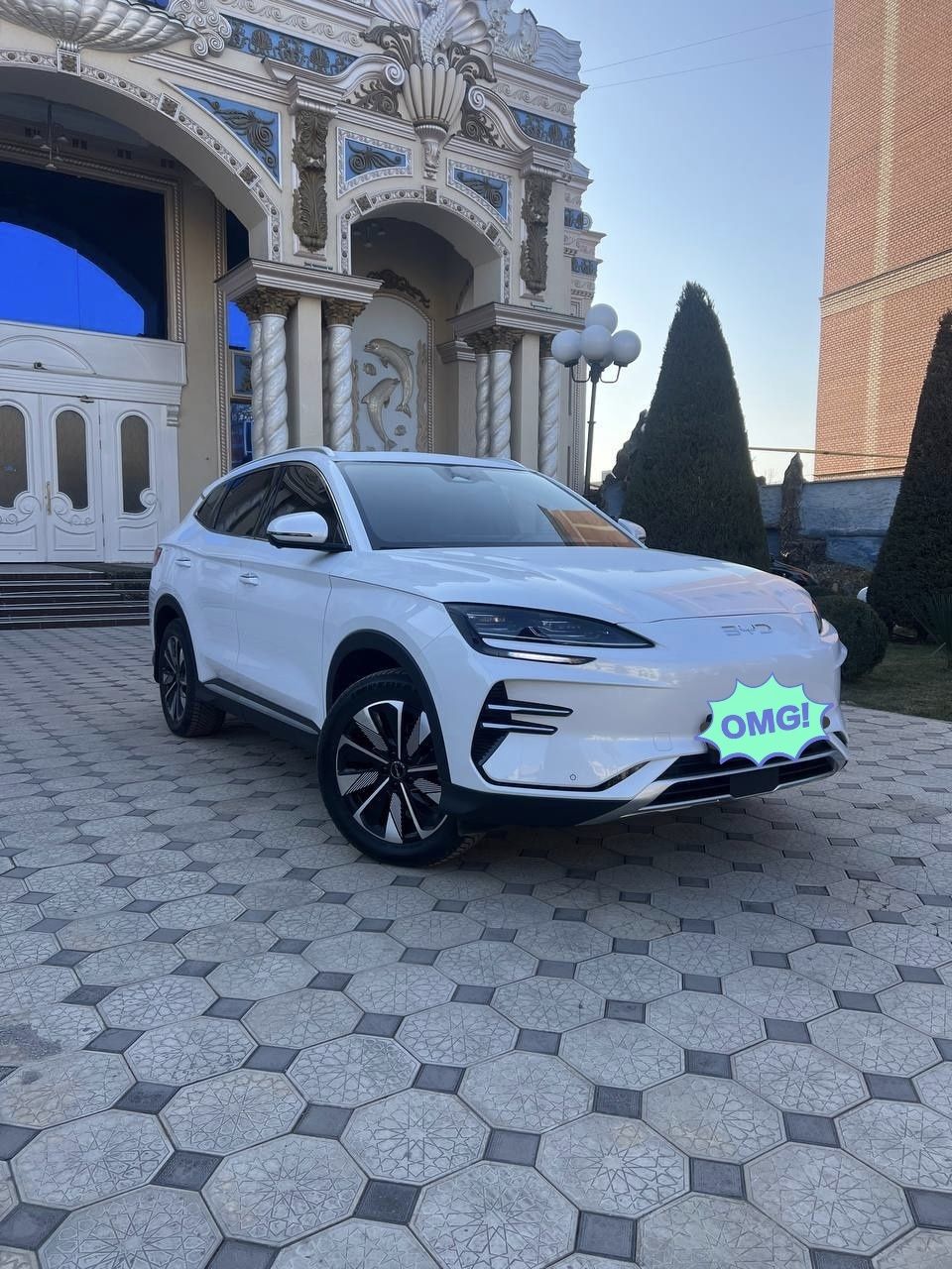 Byd Champion 605 retailing
