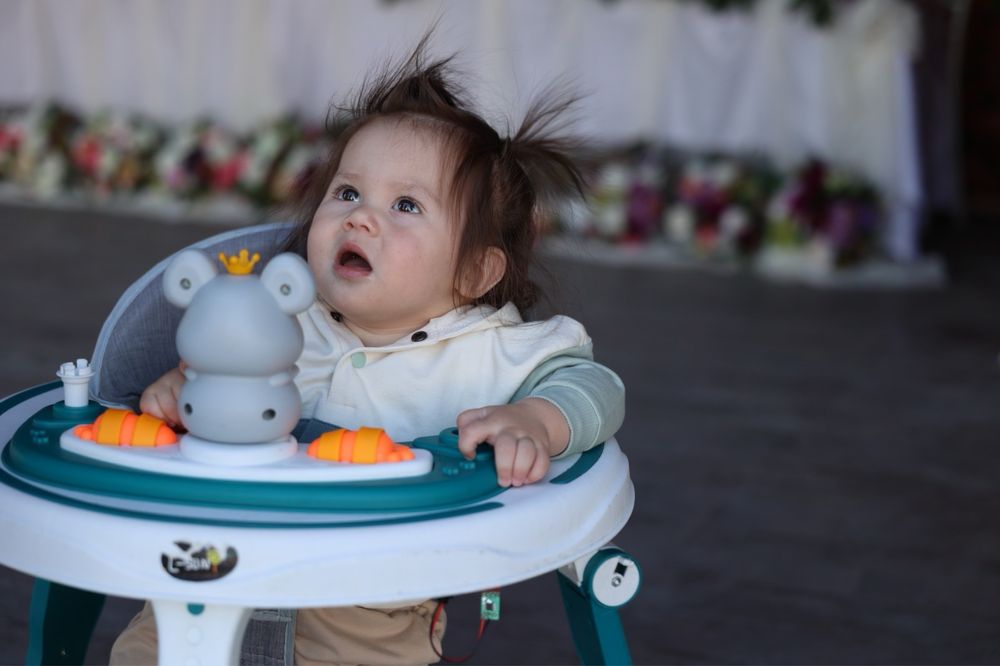 fotograf videograf nunta botez cununie majorat
