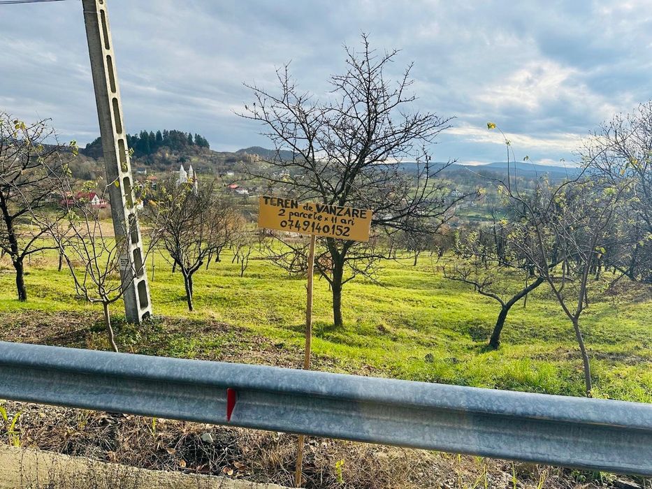 Teren Dănești (Cavnic) , 2 loturi la șosea - vedere spre sat
