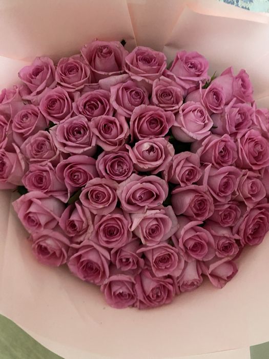 Цветы розы розовые