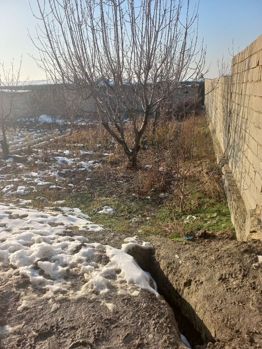 Тандир печка утин сотилади