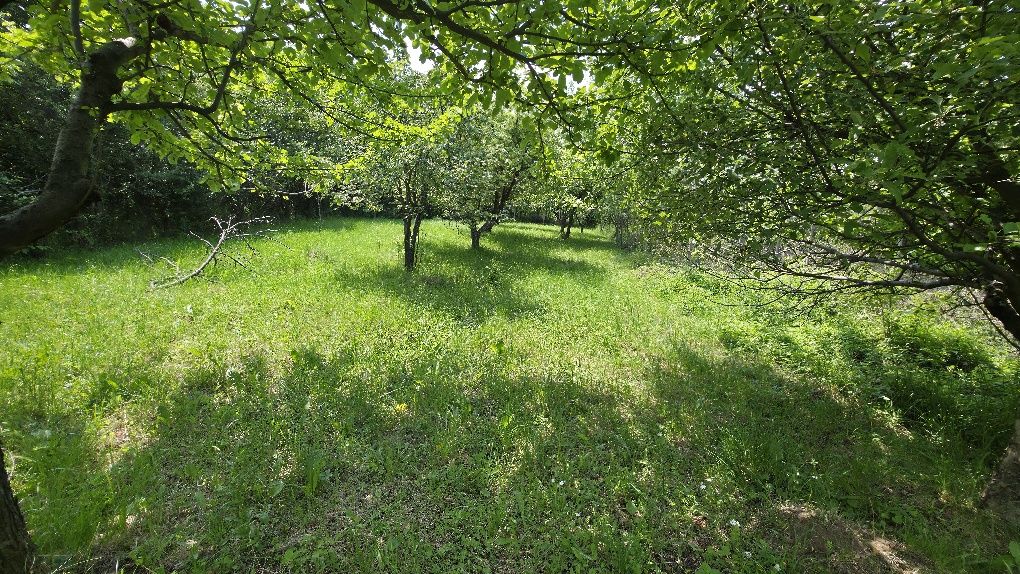 Продава се парцел в Кралев дол,  община Перник