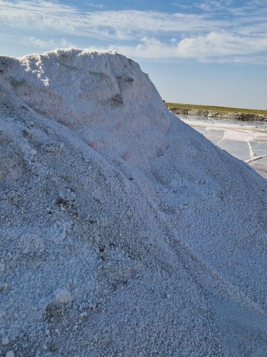 Тұз сатылады, тоннасы 30 000 тнг