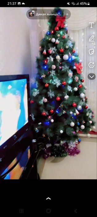 Продаю Ёлку 2,40 см