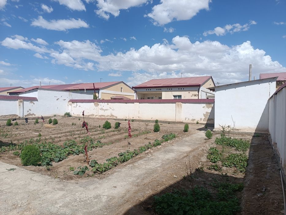 Хантореде 6 сотоклы жай сатылады