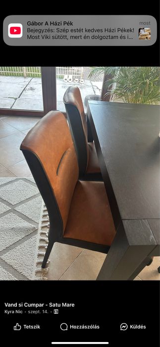 De canzare masa+4 scaune