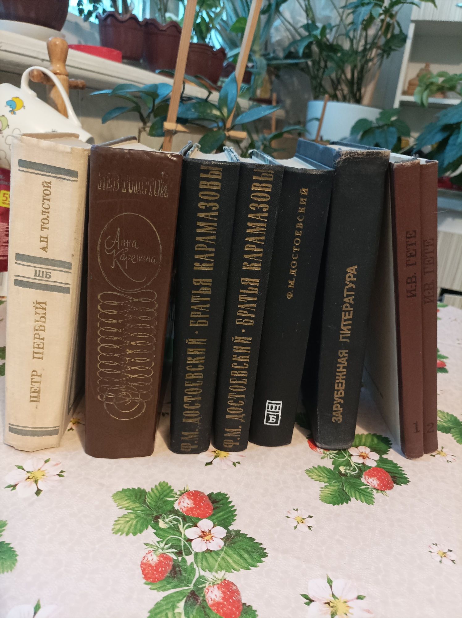 Книги Гёте Достоевский А Толстой А. Каренина