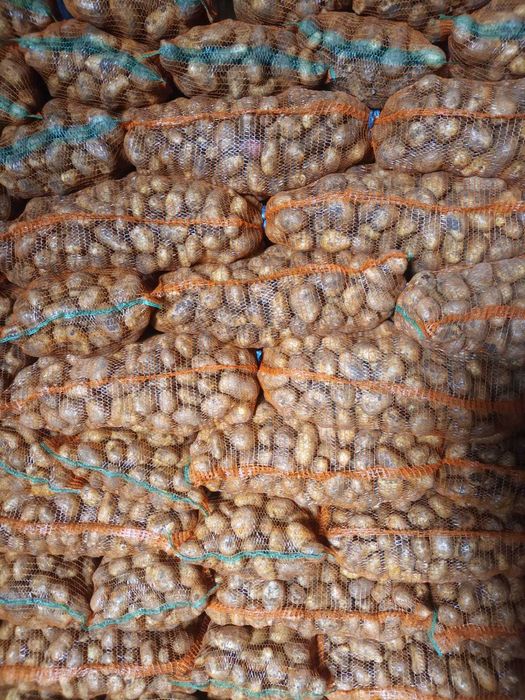 Cartofi consum rosu  sí albi.