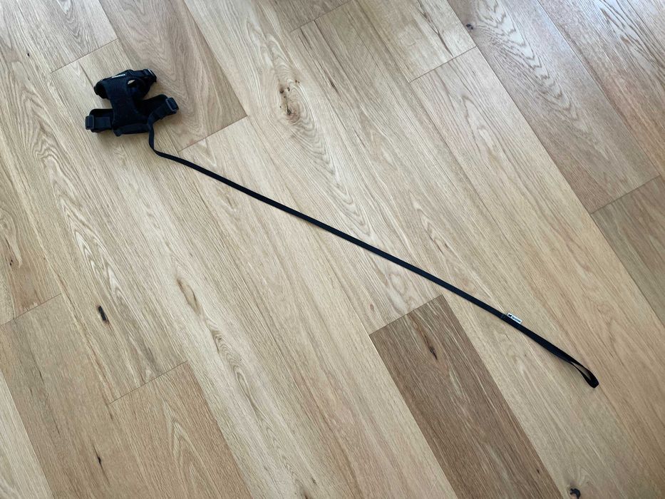 Котешка каишка Rabitgoo XS