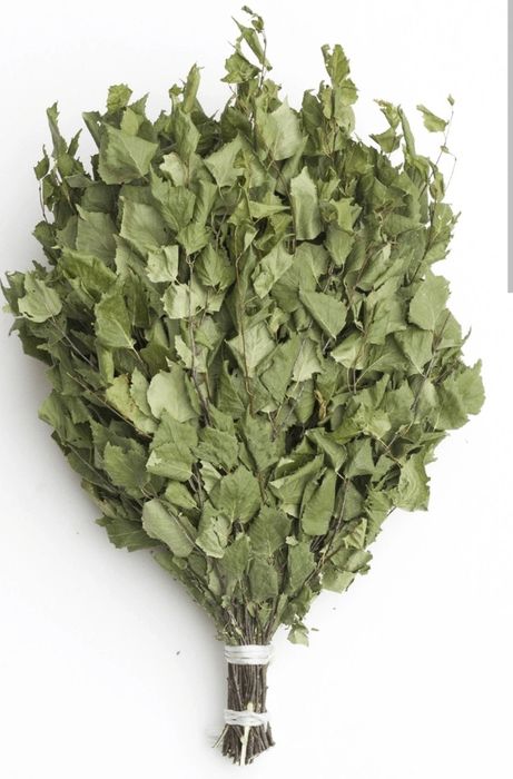 Достойны березовый веник