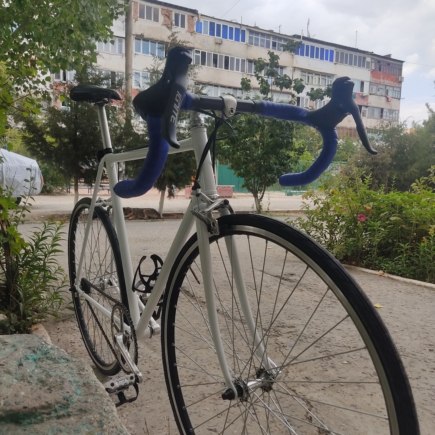 Велосипед, single speed