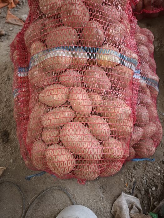 Cartofi de mâncare albi si rosi